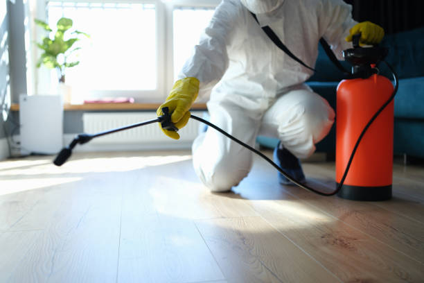 Reliable Unattended Death Cleanup contractor in South Dos Palos, CA by Trauma Clean Pros
